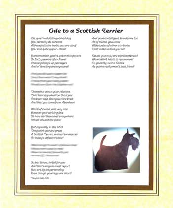 Ode to a Scottish Terrier