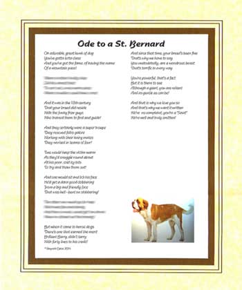 Ode to a St. Bernard