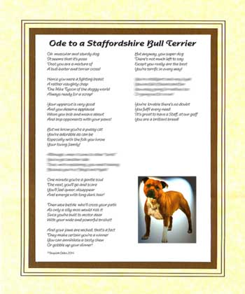 Ode to a Staffordshire Bull Terrier