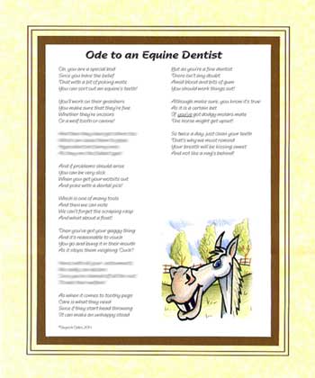 Ode to an Equine Dentist
