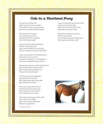 Ode to a Shetland Pony