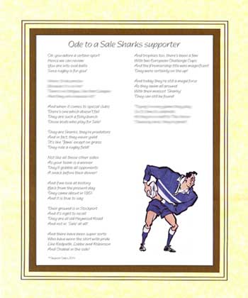 Ode to a Sale Sharks Supporter