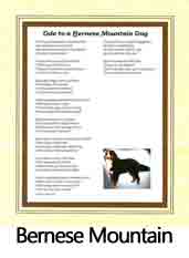 Click Here to View Bernese Ode