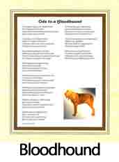 Click Here to View Bloodhound Ode