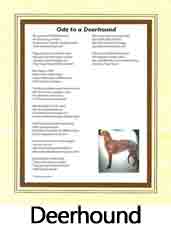 Click Here to View Deerhound Ode