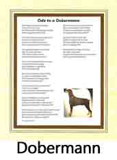 Click Here to View Dobermann Ode