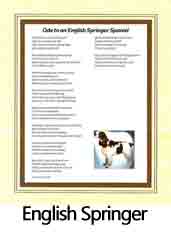 Click Here to View English Springer Ode