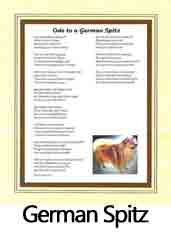 Click Here to View German Spitz Ode