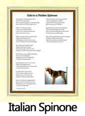 Click Here to View Italian Spinone Ode