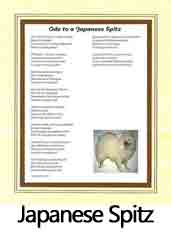 Click Here to View Japanese Spitz Ode