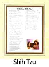 Click Here to View Shih Tzu Ode