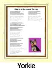 Click Here to View Yorkshire Terrier Ode