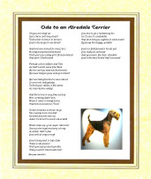 Airedale Terrier - Click here for more details