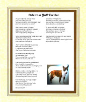 Bull Terrier - Click here for more details