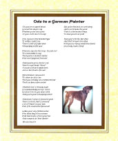 Pointer (German) - Click here for more details