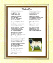 Pug - Click here for more details