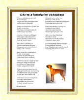 Rhodesian Ridgeback - Click here for more details